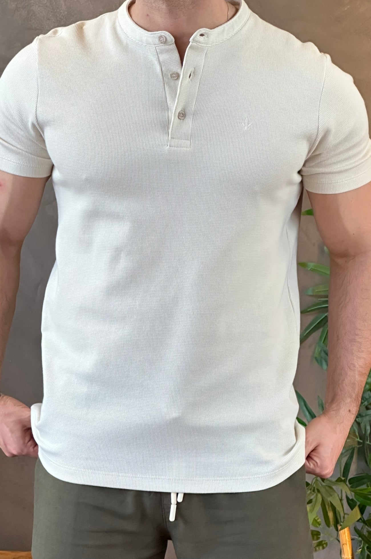 Polo Bege DLZ