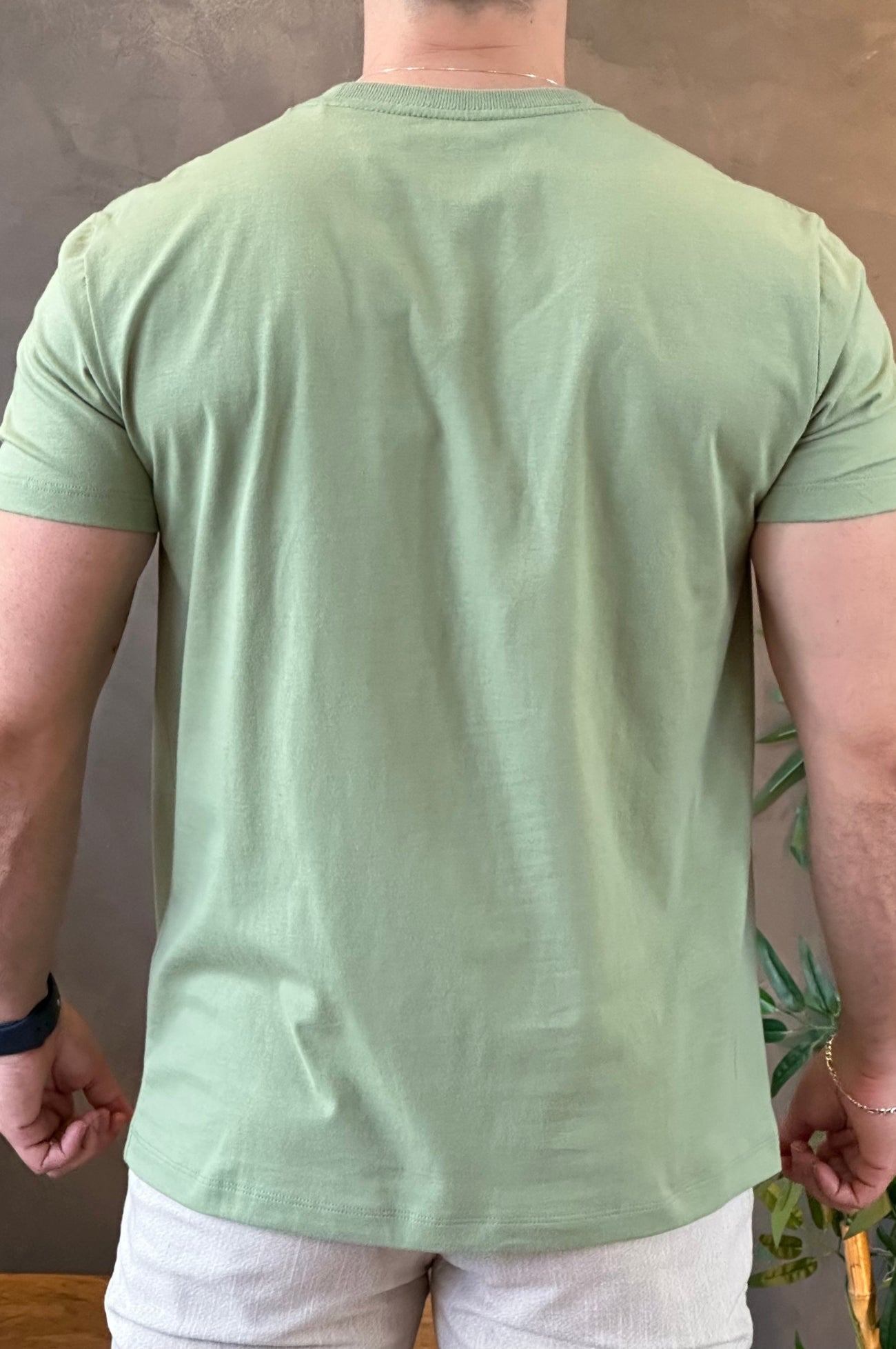 Camiseta Verde Claro Lobo Acostamento