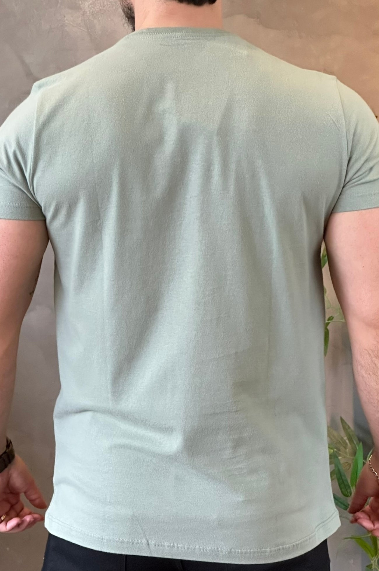 Camiseta Verde Aeropostale