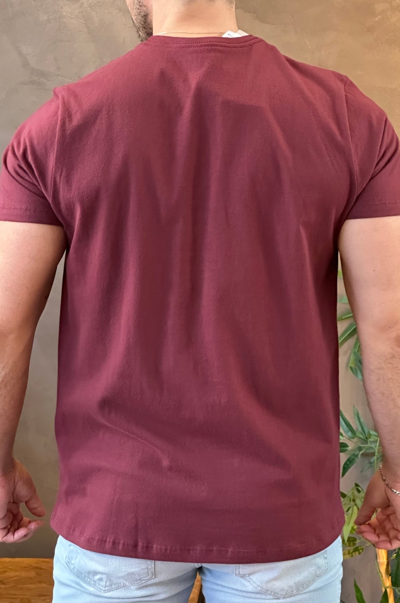 Camiseta Vinho Aeropostale