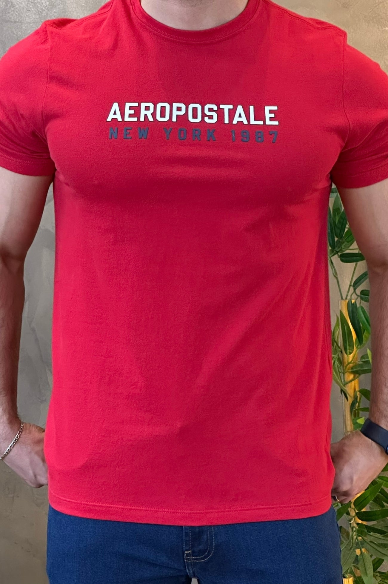 Camiseta Aeropostale New York