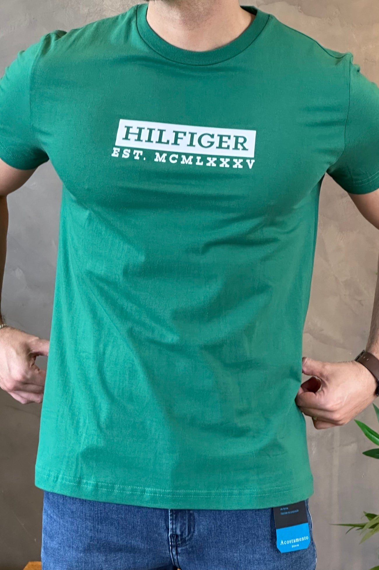 Camiseta Verde Tommy