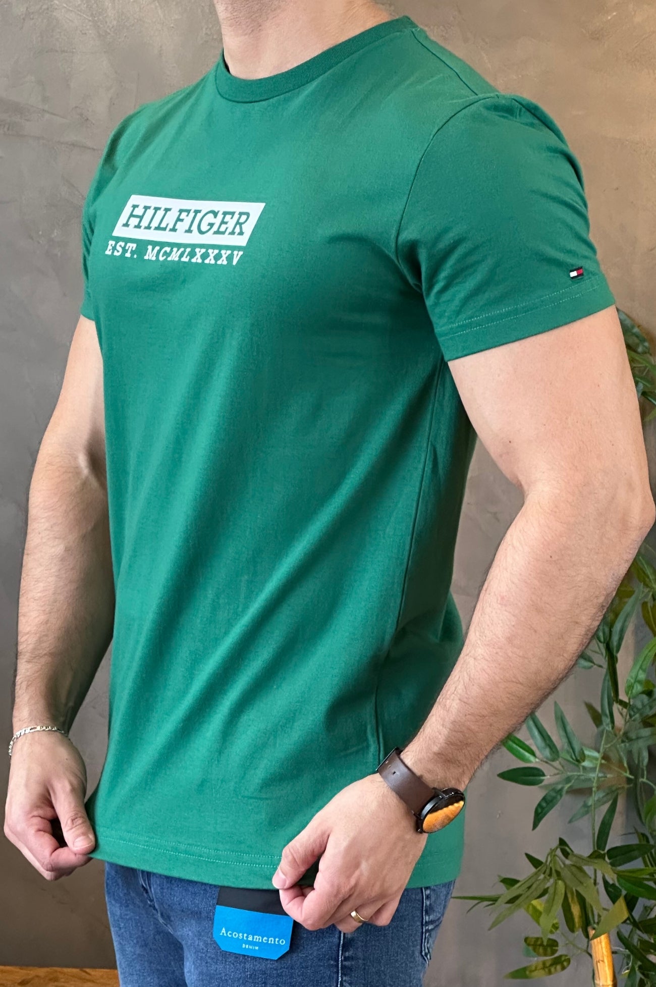 Camiseta Verde Tommy