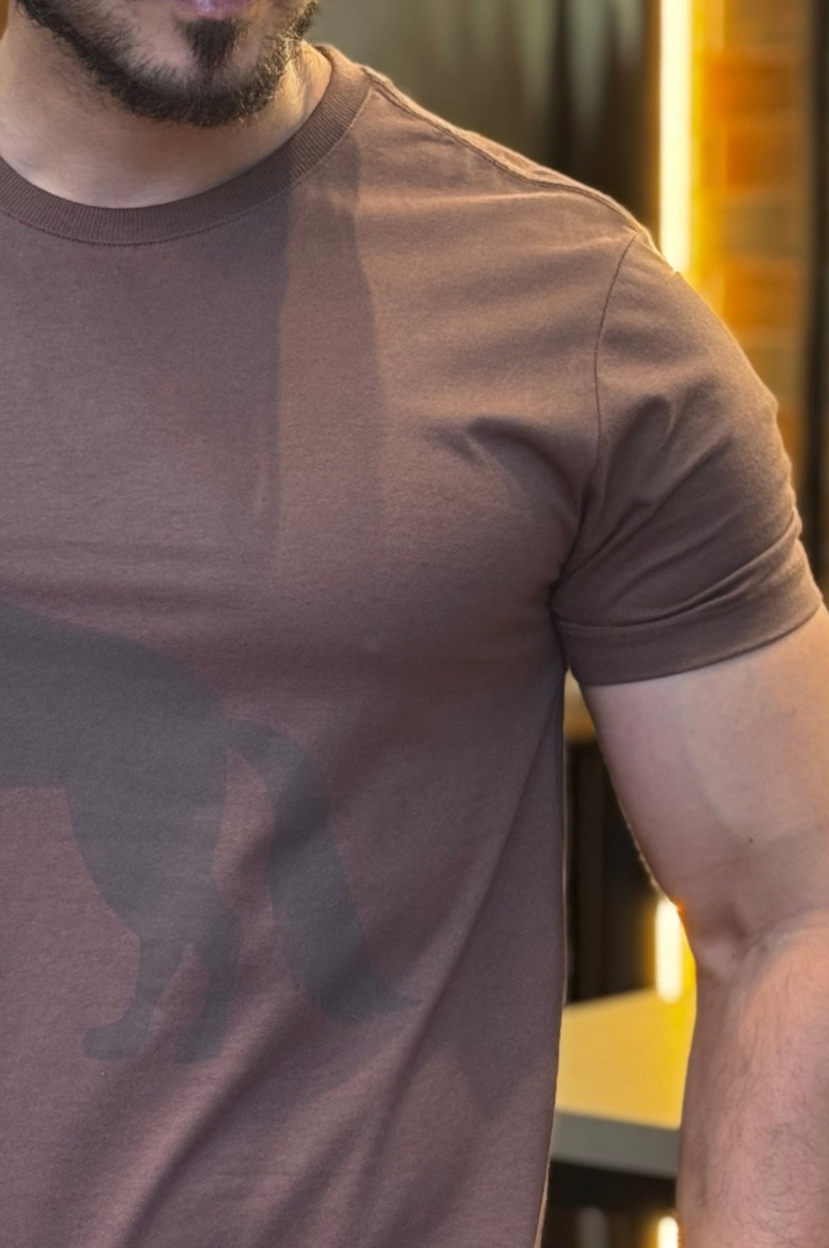 Camiseta Lobo Marrom Acostamento