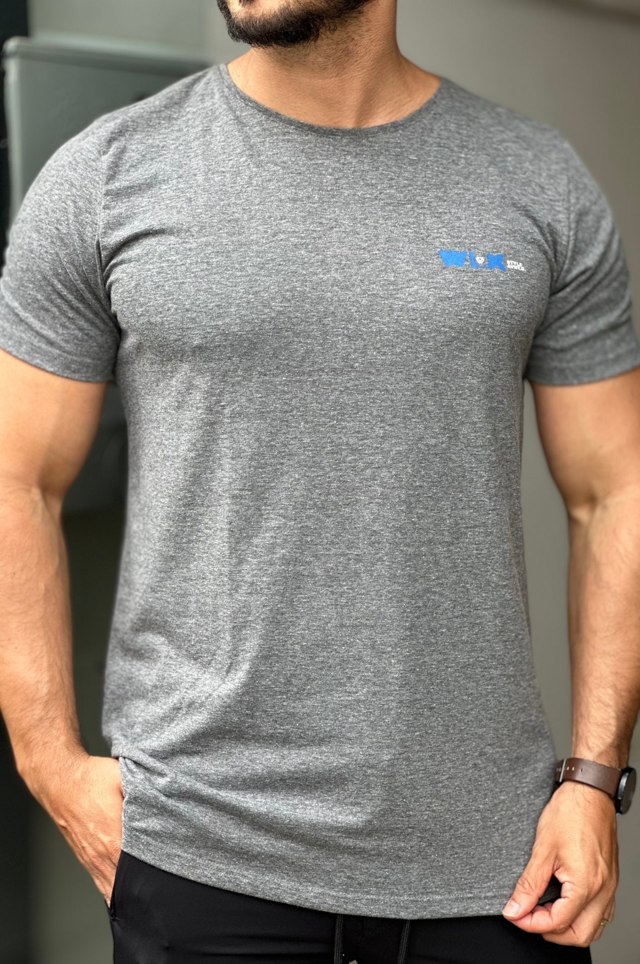 Camiseta Cinza Wolke