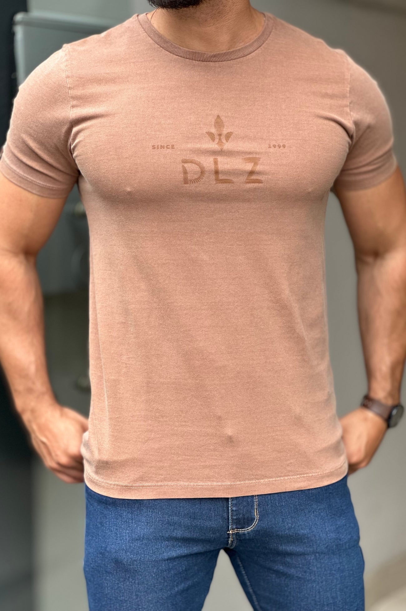 Camiseta Marrom Claro Estonado DLZ