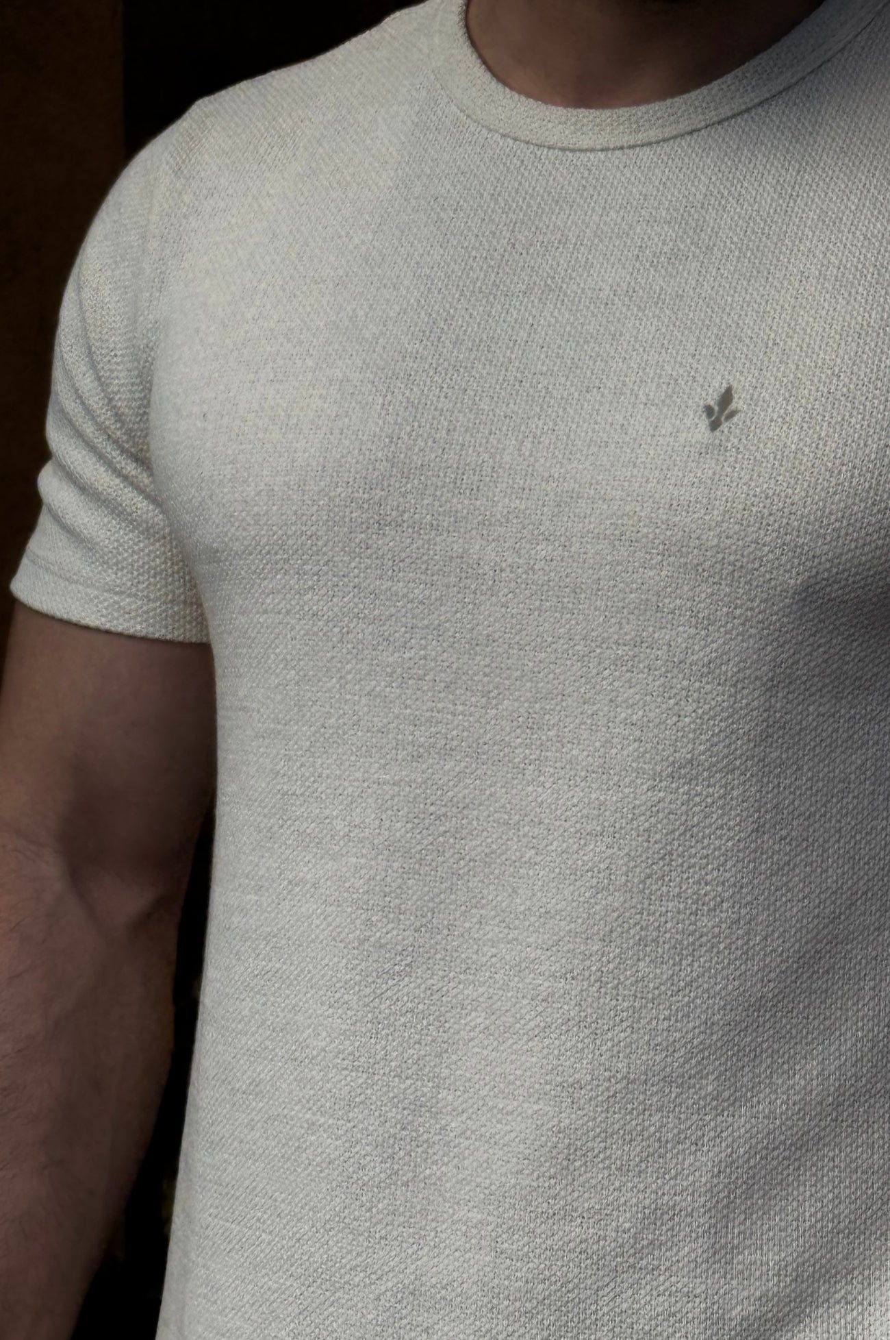 Camiseta Texturizada Bege DLZ
